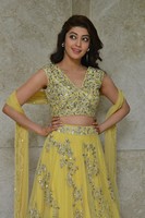 Pranitha at Hello Guru Prema Kosame Movie Success Meet